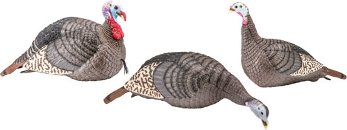 HS STRUT TURKEY DECOY FLOCK - STRUT-LITE HEN/JAKE/FEEDER