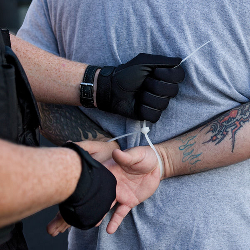 Flex-Cuffs Restraints