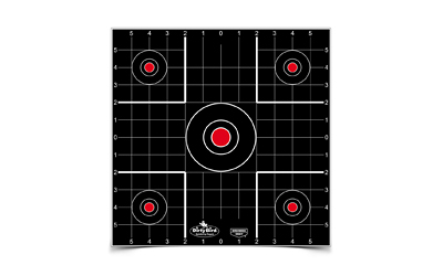 B/C DIRTY BIRD SIGHT IN TGT 12-12"