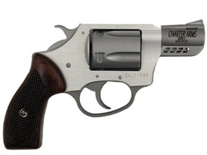 Charter Coyote .380 2"