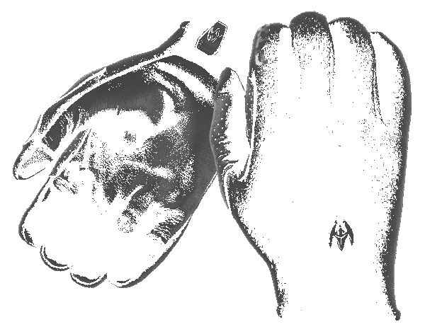 Lightweight Patrol Gloves