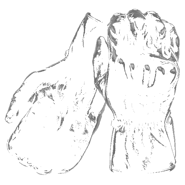 Vector 1 Riot Control Gloves