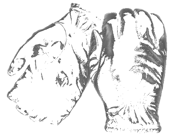 Frisker S Leather Gloves