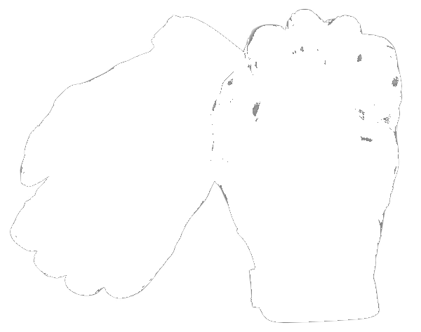 Phenom 6 Hard Knuckle Riot Control Gloves