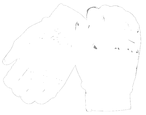 Phenom 6 Responder II Tactical Operations Glove