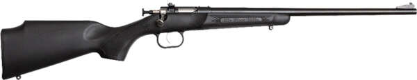 CRICKETT RIFLE G2 22LR - BLUED/BLACK SYNTHETIC