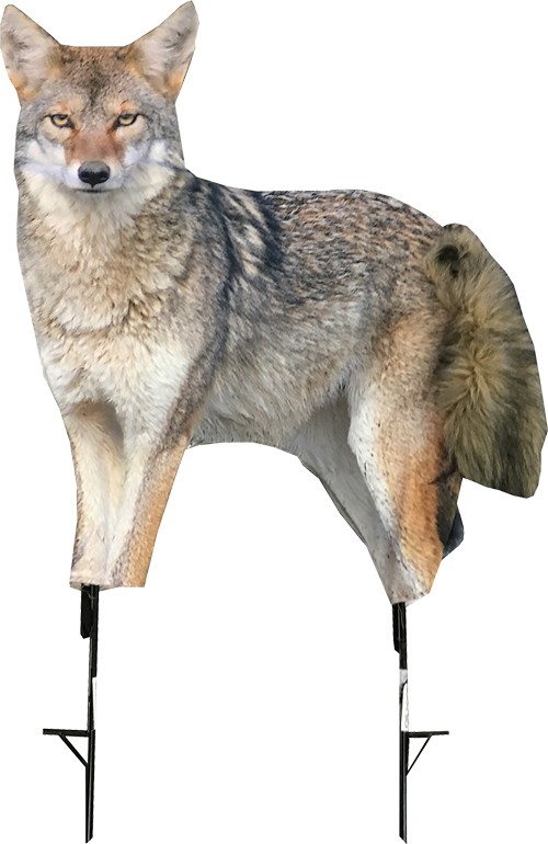 MONTANA DECOY COYOTE SONG DOG