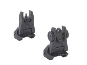 FUBS (Folding Back-Up Sights)
