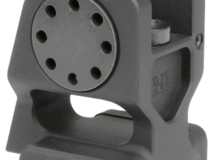 Combat Rifle Rear Fixed Sight