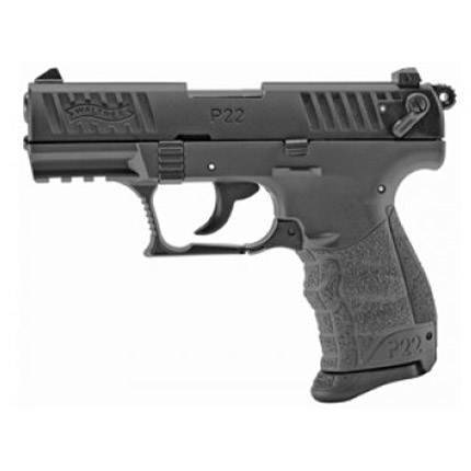 P22Q .22LR. TG 10RD