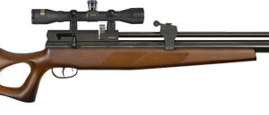 BEEMAN 1518 PCP COMMANDER .22 - PELLET AIR RIFLE 10-SHOT