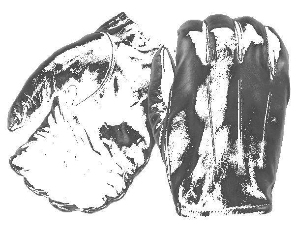 Frisker K Leather Gloves