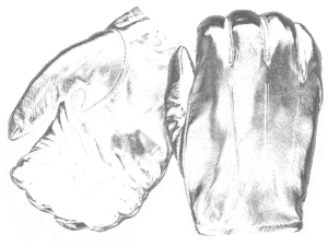 Frisker K Leather Gloves