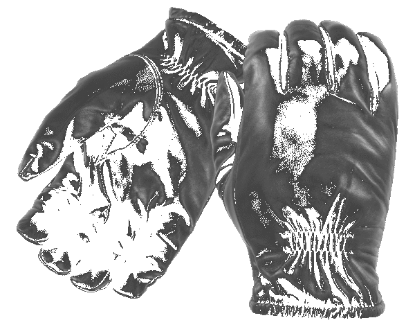 Frisker S Leather Gloves