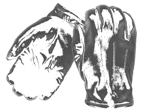 Thinsulate Leather Dress Gloves